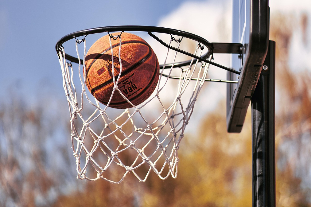 Basketball net shot